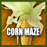 Petaluma Pumpkin Patch and Amazing Corn Maze