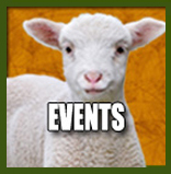 Petaluma Pumpkin Patch Special Events
