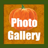 Petaluma Pumpkin Patch Photo Gallery