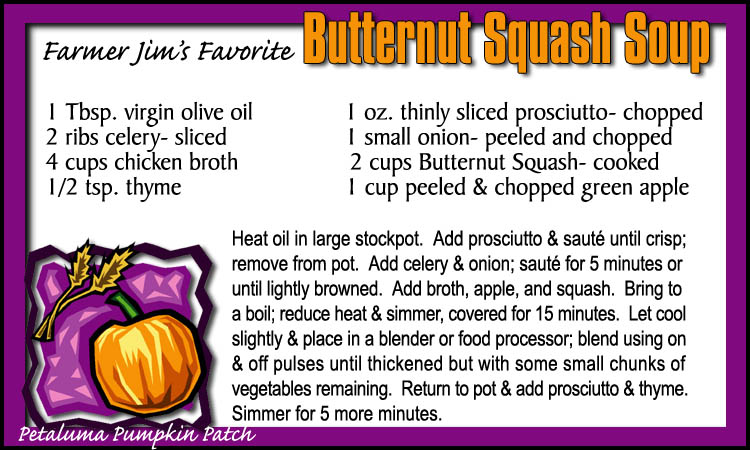 Petaluma Pumpkin Patch Butternut Squash Soup Recipe