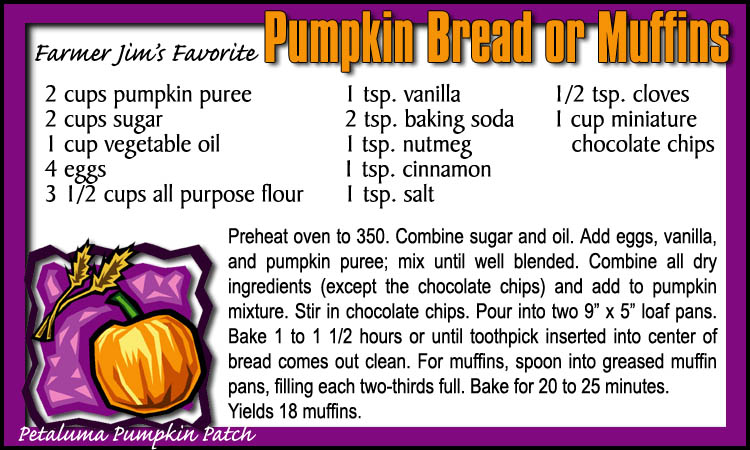 Petaluma Pumpkin Patch Pumpkin Bread Recipe