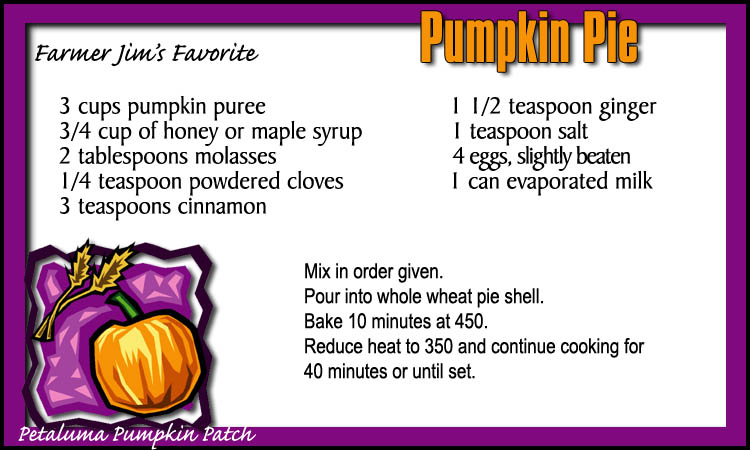 Petaluma Pumpkin Patch Pumpkin Pie Recipe