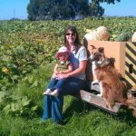 Petaluma Pumpkin Patch