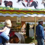 Petaluma Pumpkin Patch