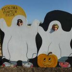 Petaluma Pumpkin Patch
