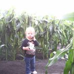 Petaluma Pumpkin Patch
