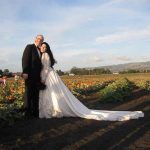 Petaluma Pumpkin Patch