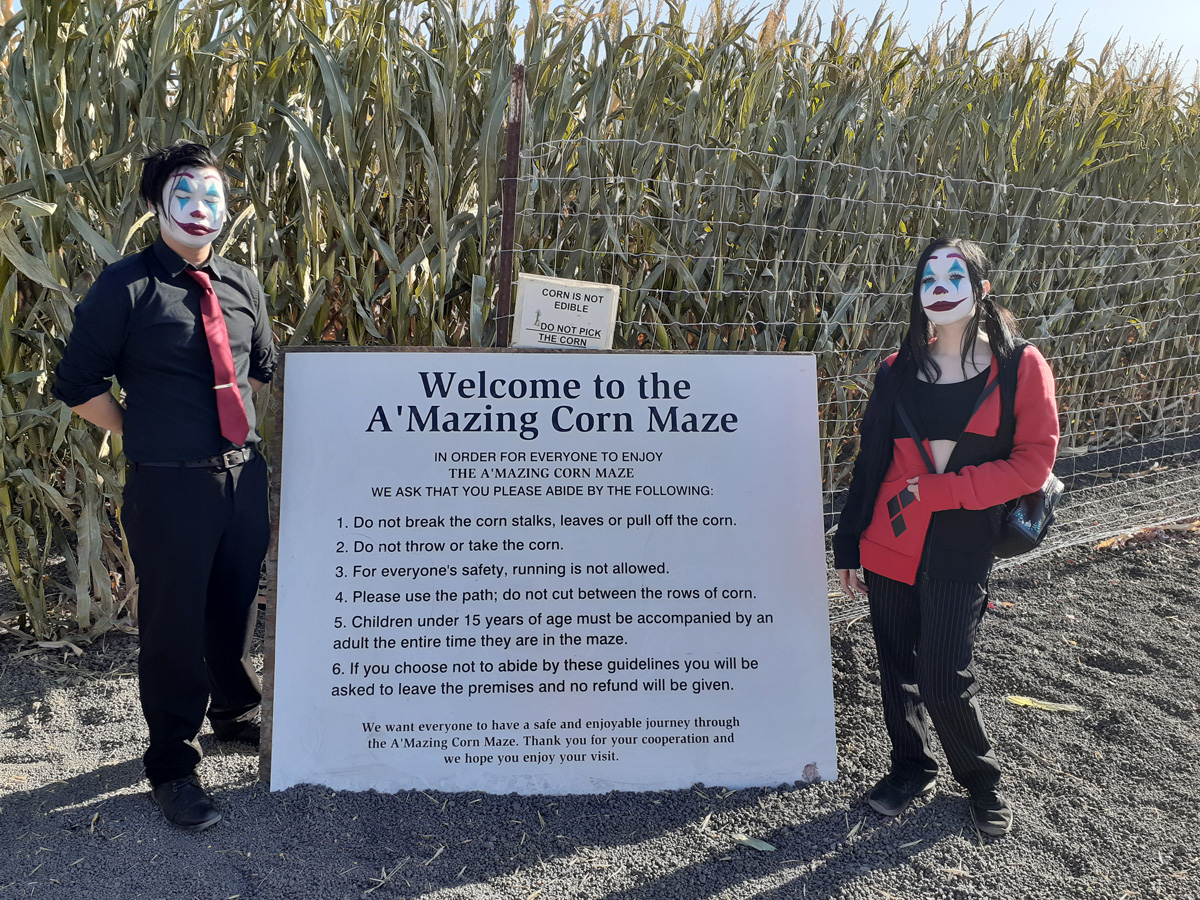 Amazing Corn Maze