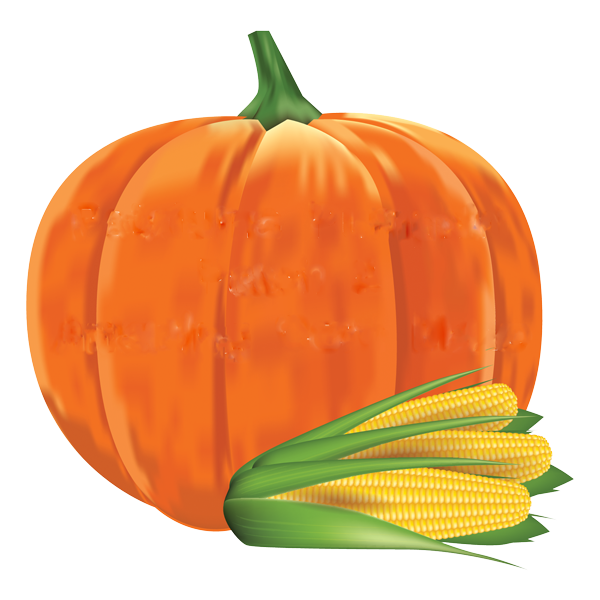 Petaluma Pumpkin Patch