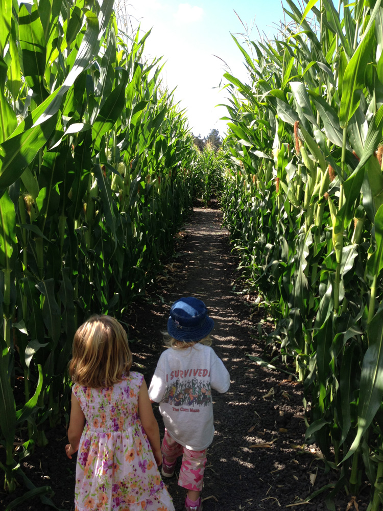 About Us - Petaluma Pumpkin Patch and Amazing Corn Maze