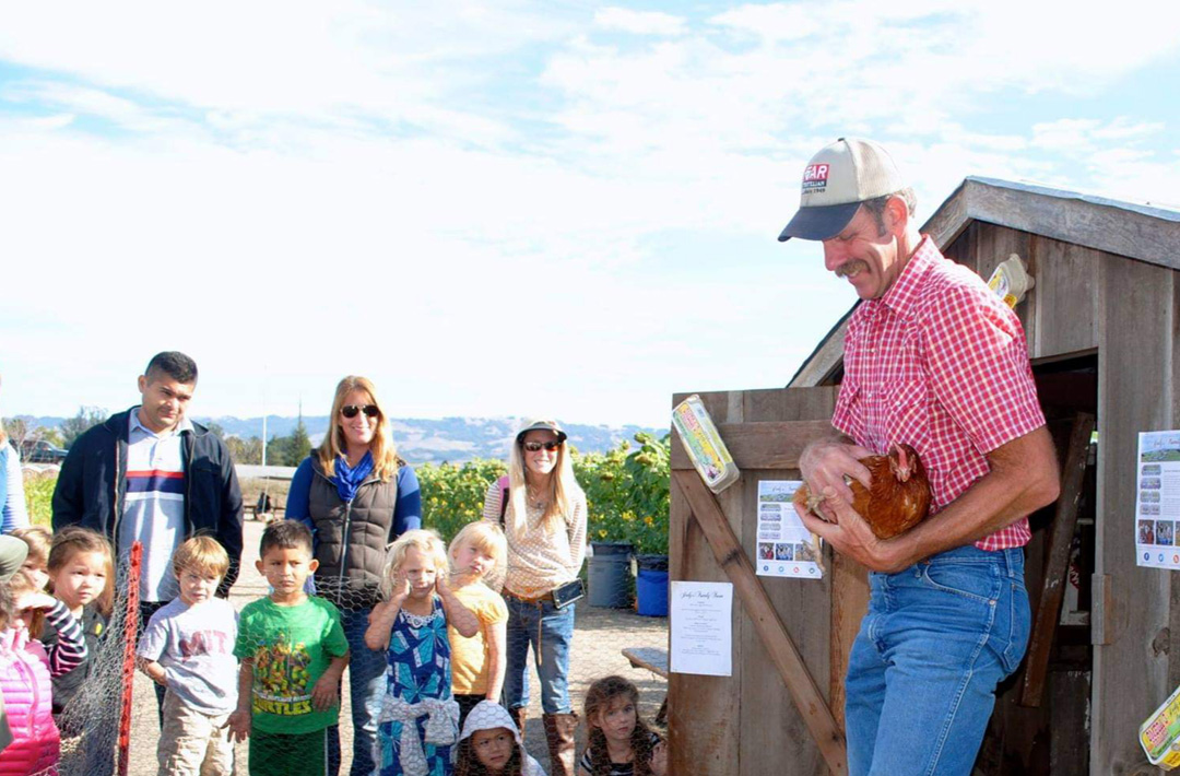 Petaluma Pumpkin Patch School Field Trips