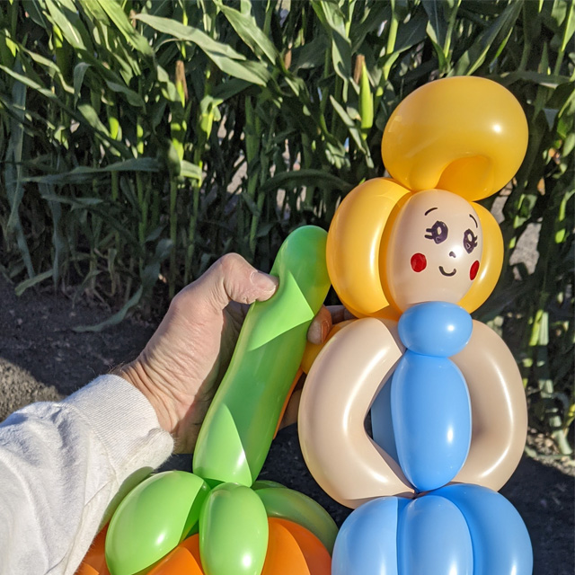 Balloon Art Petaluma Pumpkin Patch