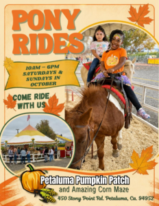 Pony Rides