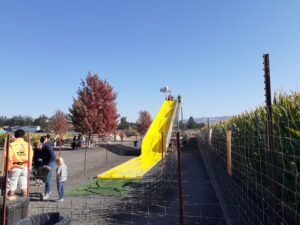 Carnival Slide